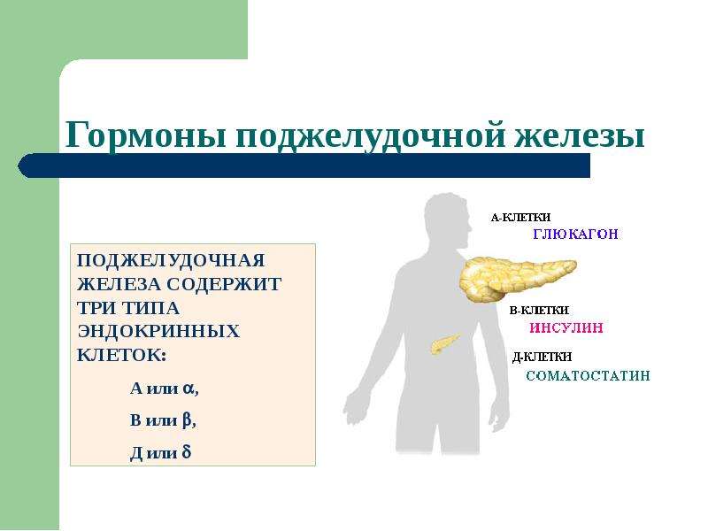 Гормон роста железы. Влияние гормонов поджелудочной железы на обмен веществ. Гормон поджелудочной железы влияющий на обмен веществ. Гормоны поджелудочной железы их влияния на метаболизм. 3 Гормона поджелудочной железы.