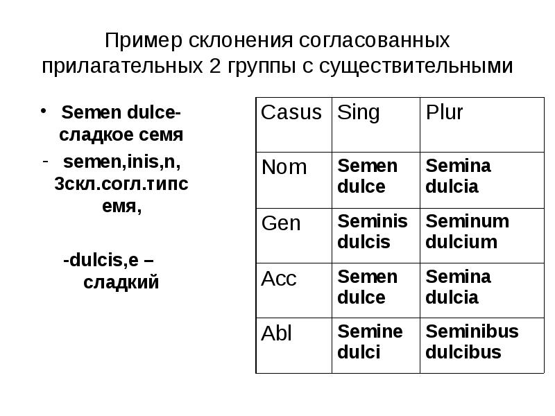 Беларусь склонение. Склонение прилагательных в латинском языке 3 скл. Согласование прилагательного в латинском языке. Semen склонение латынь.