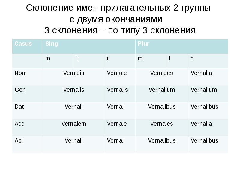 Прилагательные 2 окончаний. 2 Склонение прилагательных латынь. Прилагательные 2 склонения латынь. Склонение прилагательных латынь 3 склонение. Прилагательные 2 склонения в латинском.