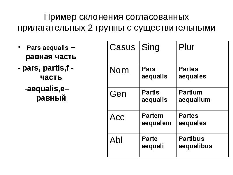 Согласование прилагательных с существительными в латинском языке