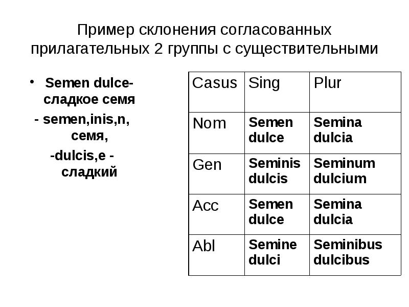 Редкий частый какая группа прилагательных