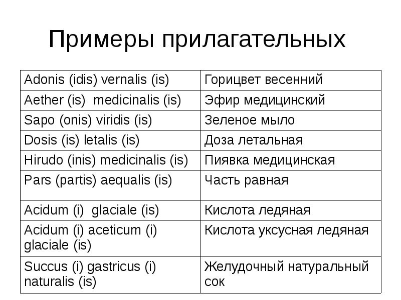 Имена прилагательные образец