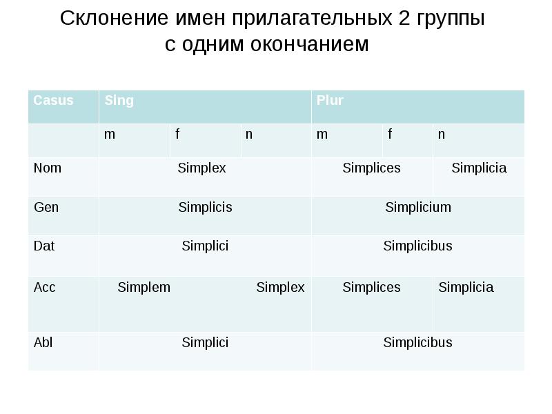 Прилагательные 1 класса