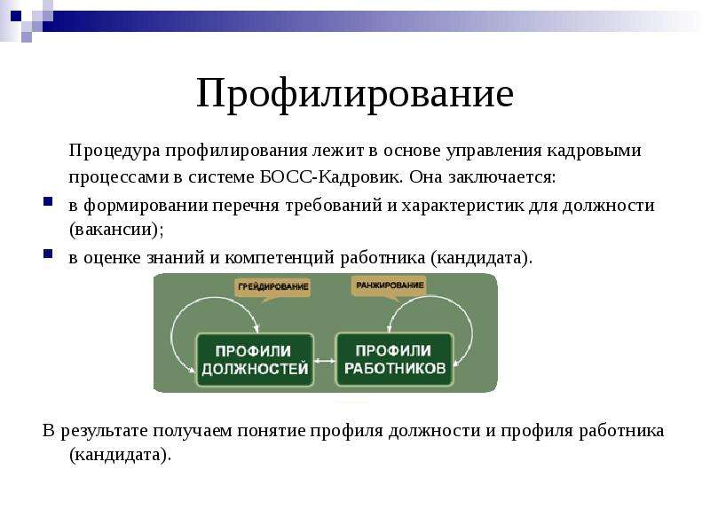 Профилирование. Профилирование должностей. Профилирование сотрудника системы. Понятие кадровых процессов, их виды.. Система мотивации босс кадровик.