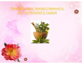 Микрофлора лекарственного сырья