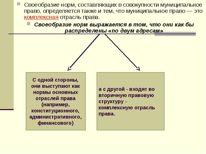 Нормативная составляющая право. Муниципально-правовые нормы и институты. Муниципальное право основные институты отрасли. Муниципальное право структура и основные институты.