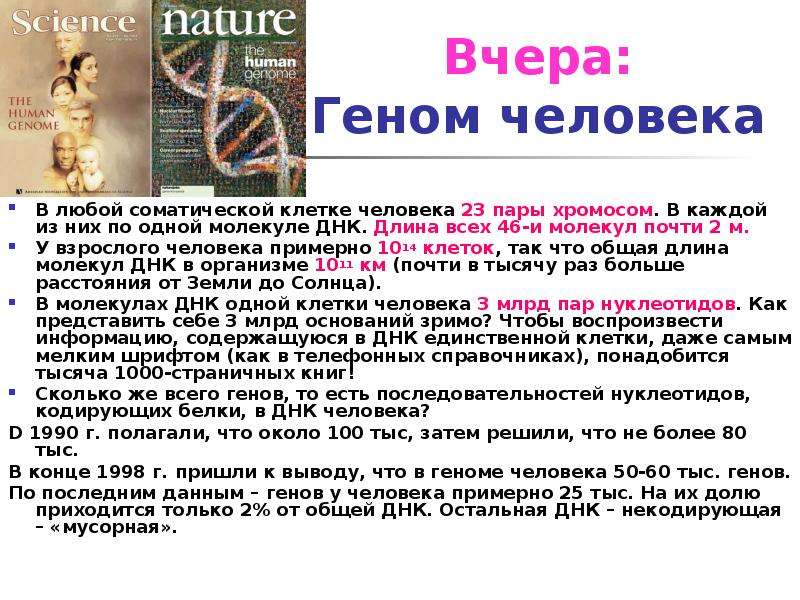 Геном человека содержит. Геном человека в цифре. Проект геном человека презентация. Число генов у человека. Геном человека состоит из.