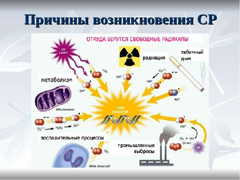 Свободнорадикальное окисление схема