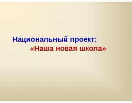 Национальный проект новая школа