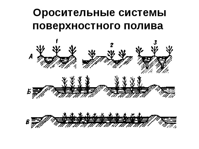 Опишите технику и технологическую схему полива овощных культур