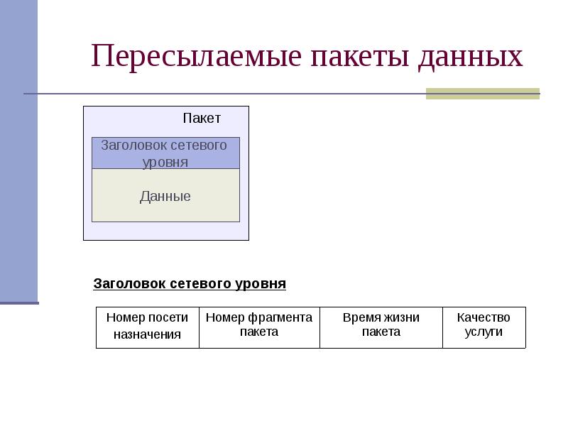 Сетевой пакет. Структура пакета данных. Строение сетевого пакета. Из чего состоит пакет данных.