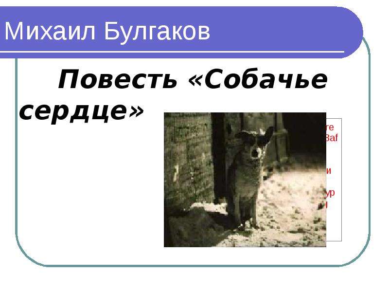 Тест по литературе собачье сердце 8 класс. Презентация к уроку по собачьему сердцу. Рисунок по повести Собачье сердце. Презентация Собачье сердце Булгаков 9 класс. Собачье сердце сколько страниц.