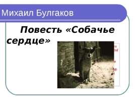 Повесть Собачье сердце