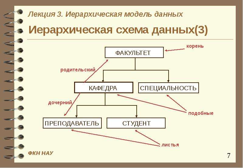 К иерархической базе данных относится схема граф