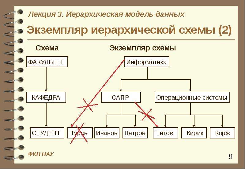 Иерархическая модель данных презентация