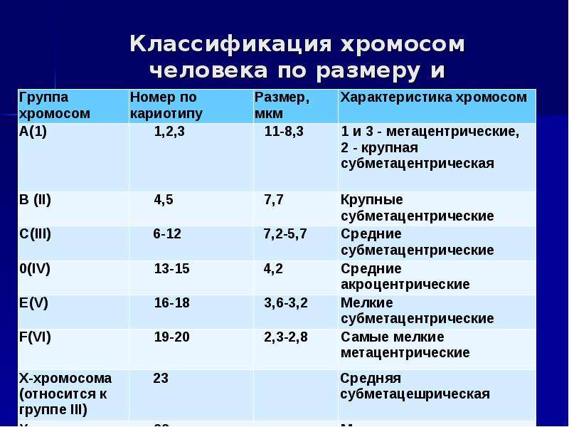 Размер хромосомы. Денверская классификация хромосом. Классификация хромосом человека таблица. Классификация хромомосом. Классификация хромосом человека.