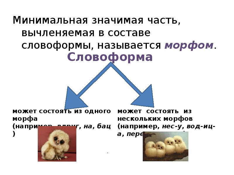 Минимальная значит 5. Словоформа это примеры. Основа словоформы примеры. Словоформа примеры в русском языке. Словоформа в тексте это.