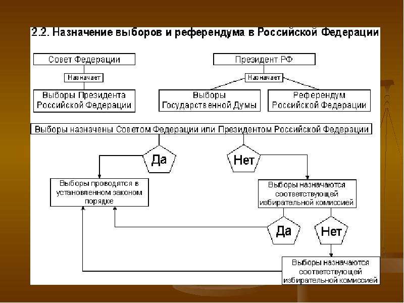 Виды выборов схема