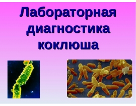 Коклюш