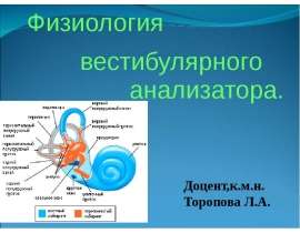Физиология вестибулярного анализатора