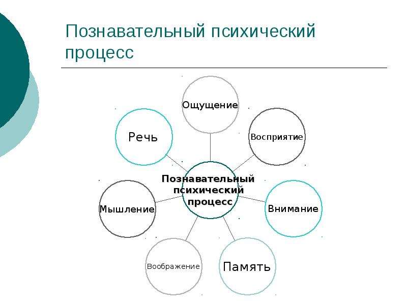 6 познавательных процессов