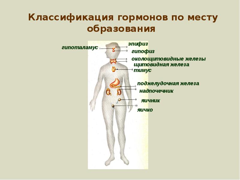 Классификация гормонов презентация