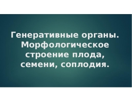 Генеративные органы. Морфологическое строение плода, семени, соплодия.