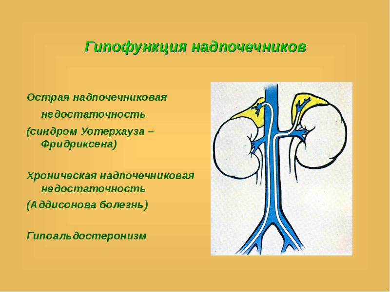 Гипофункция надпочечников презентация