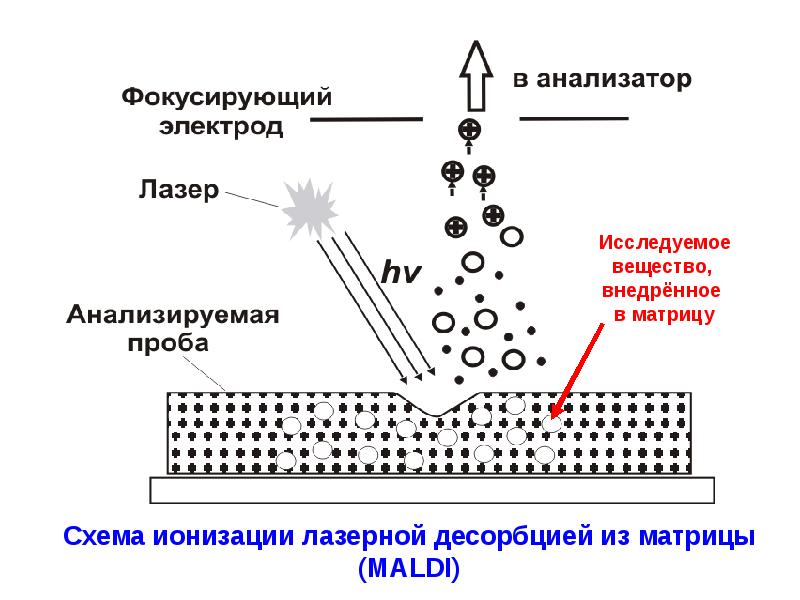 Метод спектрометрии. Матричная лазерная десорбция / ионизация. Малди спектрометр матрица. Масс-спектрометрия сущность метода. Схема метода масс спектрометрии.