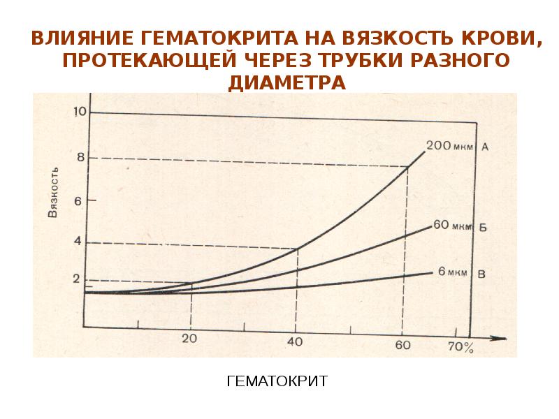 Реология крови презентация