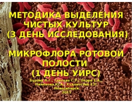 Микрофлора ротовой полости