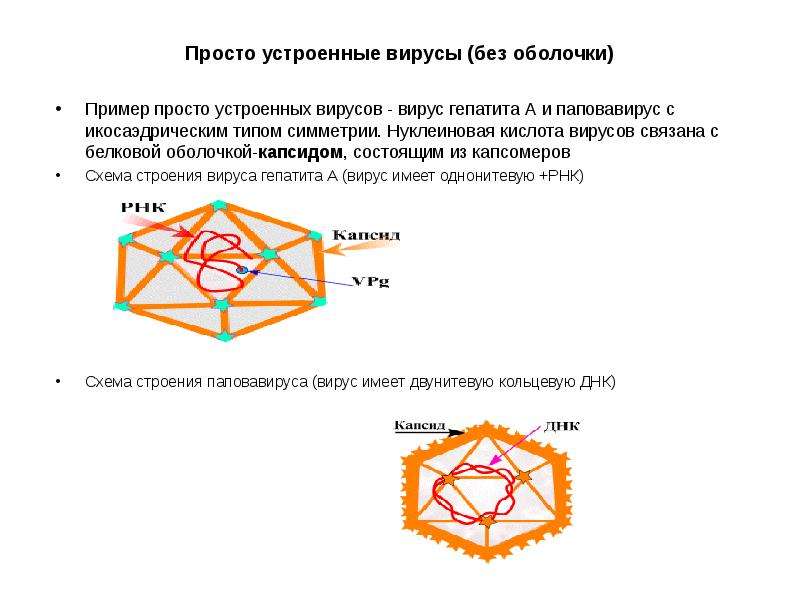 Простой устраивать