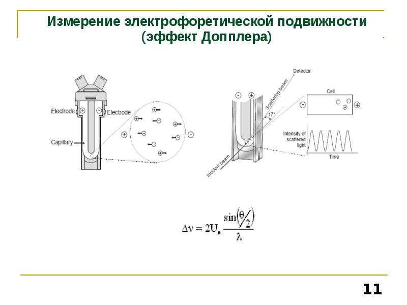 11 измерений. Электрофоретическая подвижность. Электрофоретическая подвижность белков. Электрофоретическая подвижность единицы измерения. Вывод уравнения для электрофоретической подвижности.