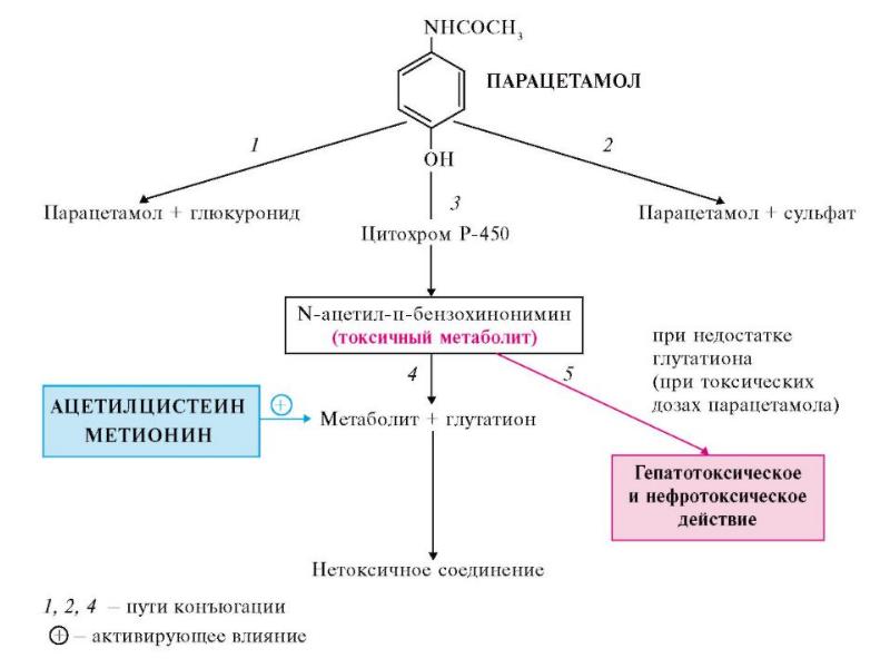 Анальгетики фармакология презентация