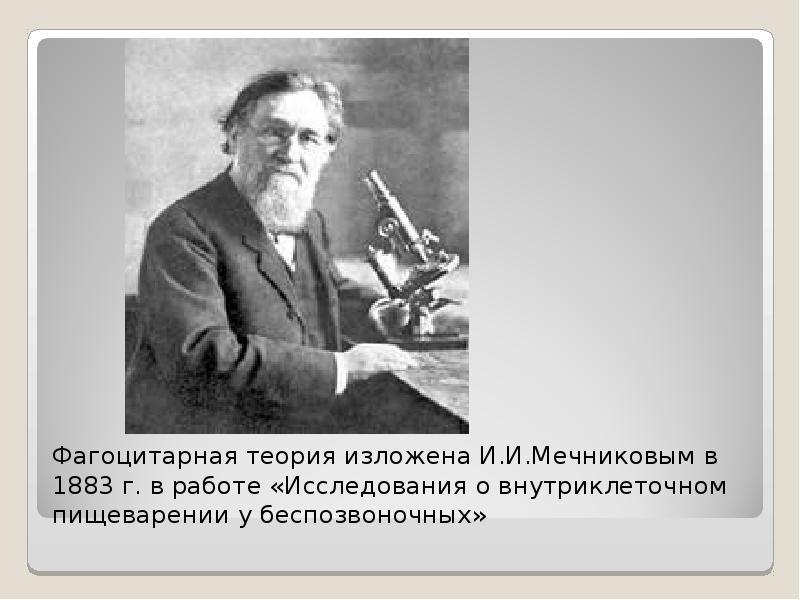Фагоцитарная теория изложена И. И. Мечниковым в 1883 г. в работе «Исследования о внутриклеточном пищ