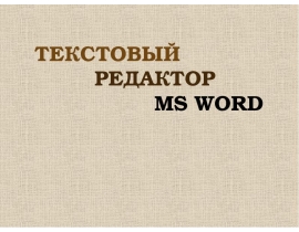 ТЕКСТОВЫЙ РЕДАКТОР MS WORD