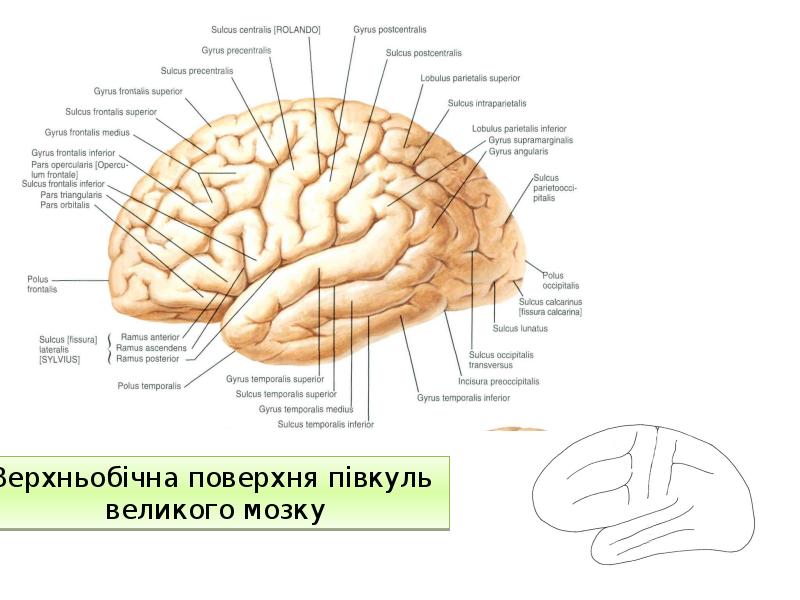 В буднях великих строек презентация