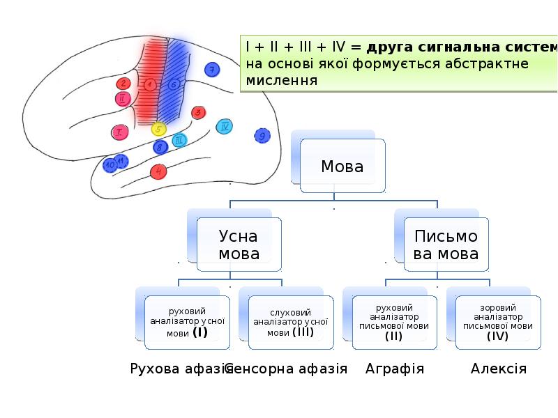 Корь слайды для презентации