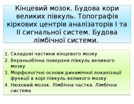 Кінцевий мозок. Будова кори великих півкуль