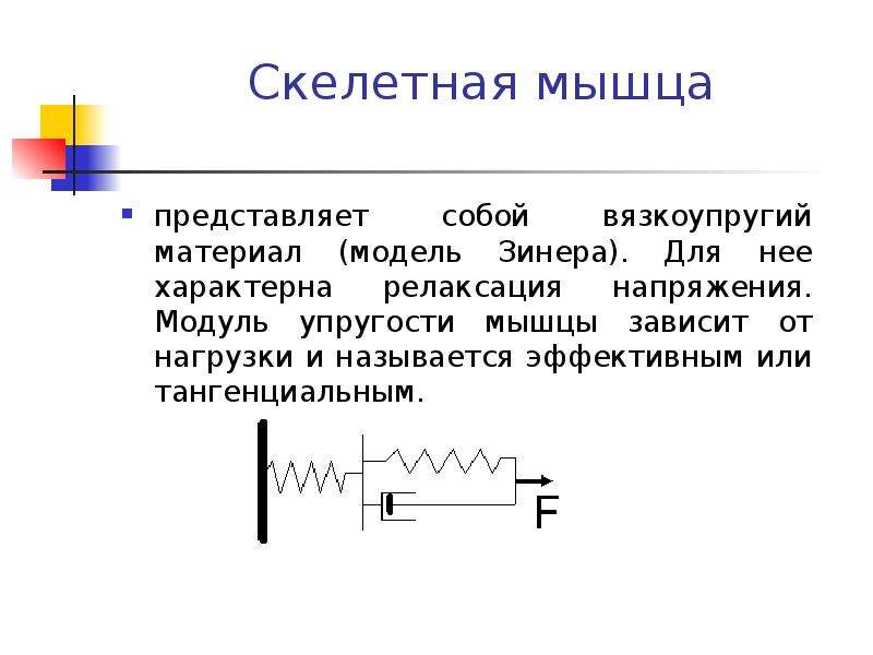 Механические свойства биологических тканей презентация