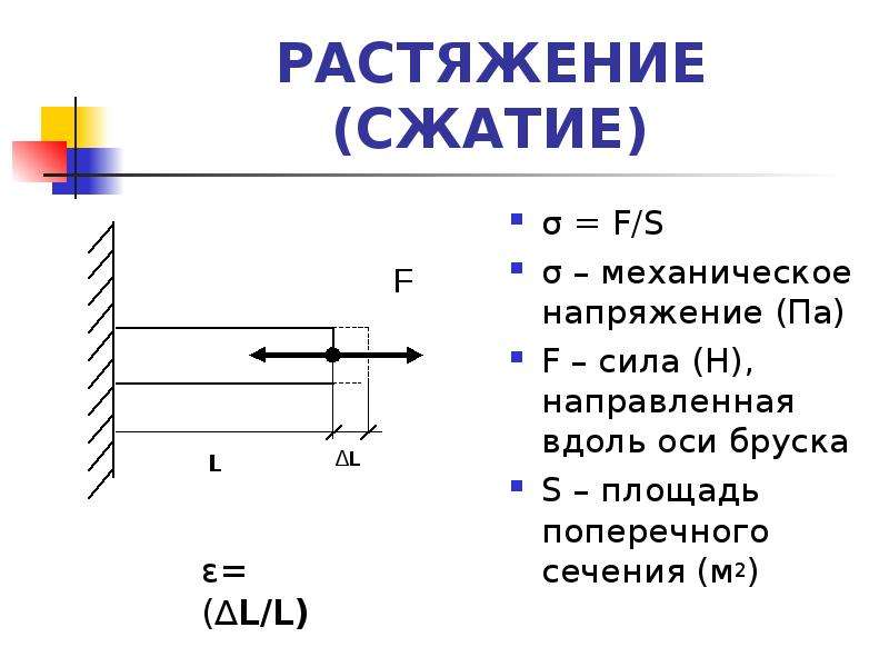 Механические свойства биологических тканей презентация