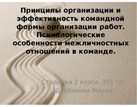 Принципы организации и эффективность командной формы организации работ