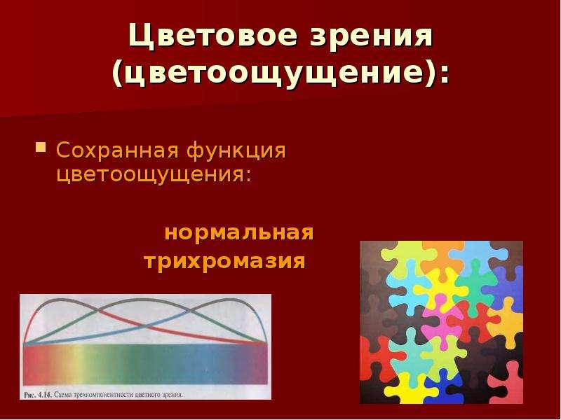 Цветовое зрение. Механизм цветового зрения. Цветовое зрение обеспечивают. Нормальная трихромазия.