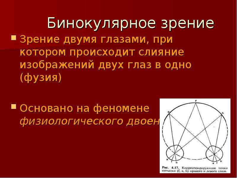 Бинокулярное зрение ответ. Бинокулярное зрение. Механизм бинокулярного зрения. Бинокулярное зрение схема. Бинокулярное трехцветное зрение.