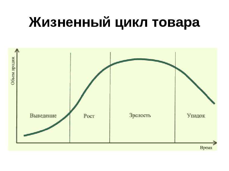 Картинка жизненный цикл