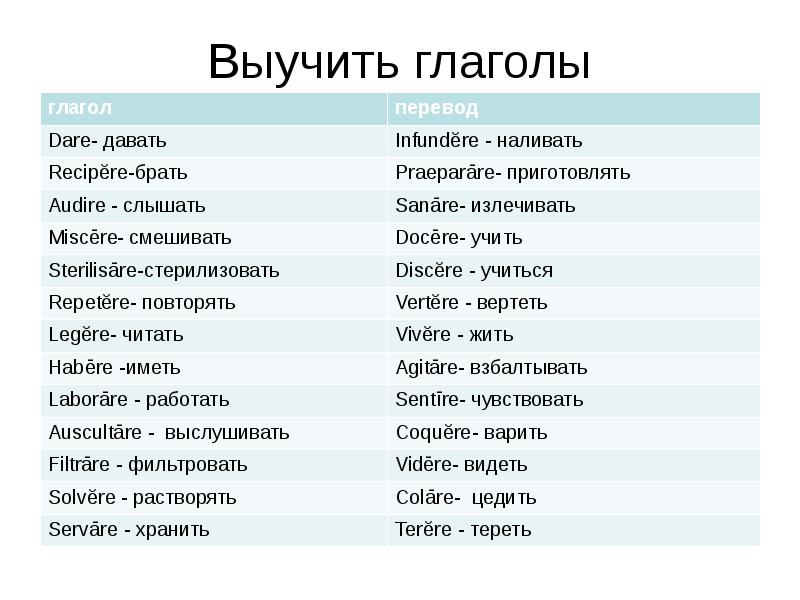 Выучить глаголы русского языка