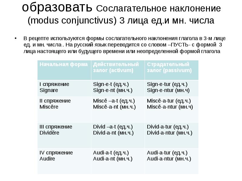 Глаголы в сослагательном наклонении в латинском языке