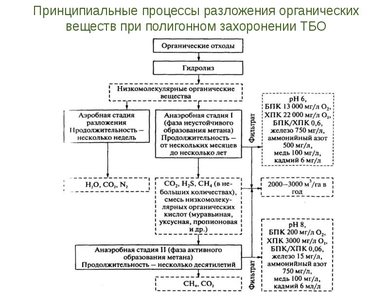 Процесс разложения. Процесс разложения органических веществ. Организмы, осуществляющие процесс разложения органических веществ. Разложение органических соединений. Анаэробное разложение органических веществ.