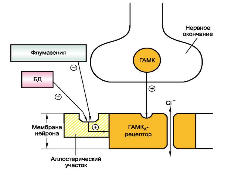Механизм действия транквилизаторов схема
