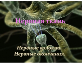Нервная ткань